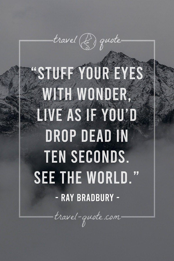 Stuff your eyes with wonder, live as if you'd drop dead in ten seconds. See the world. - Ray Bradbury