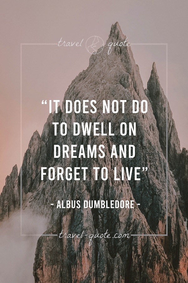 It does not do to dwell on dreams and forget to live. - Albus Dumbledore, Harry Potter