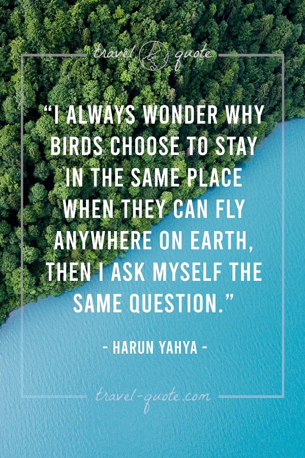 I always wonder why birds choose to stay in the same place when they can fly anywhere on Earth, then I ask myself the same question. - Harun Yahya