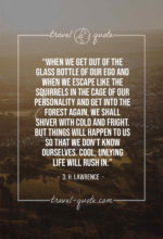 When we get out of the glass bottle of our ego and when we escape like the squirrels in the cage of our personality and get into the forest again, we shall shiver with cold and fright. But things will happen to us so that we don’t know ourselves. Cool, unlying life will rush in.